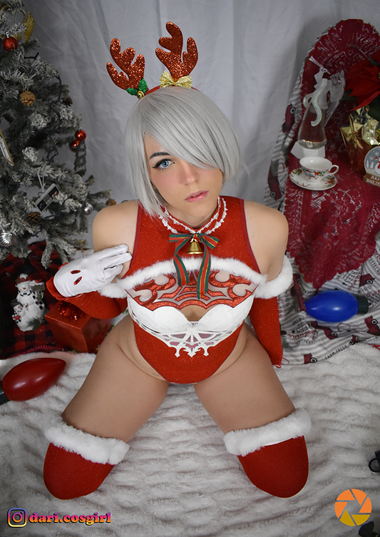 2B Christmas The Perfect Gift